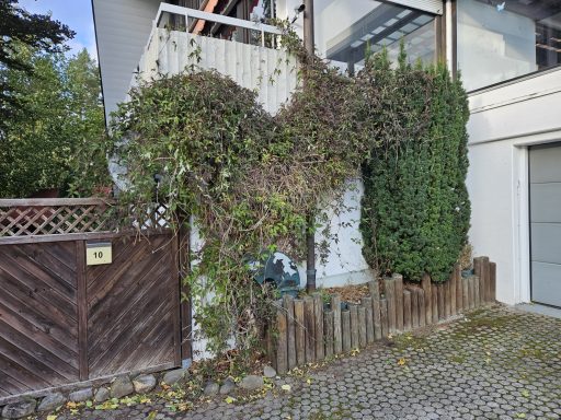 Objekt Nr.1 Vorher - VS-Marbach Grüne Pflanzen und Sträucher an der Wand eines modernen Hauses.