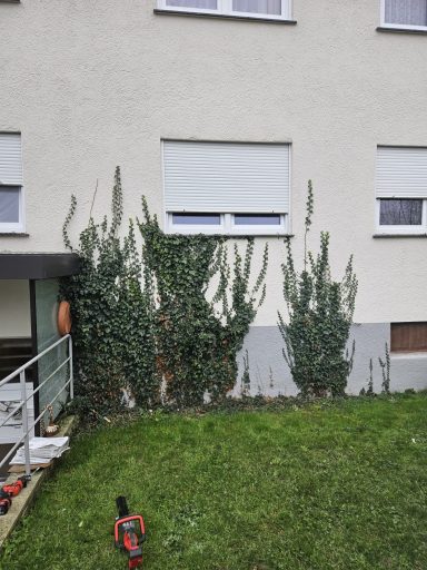 Objekt Nr.22 Vorher - Oberndorf