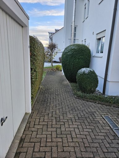 Objekt Nr.14 Eingangsbereich - Trossingen Pfad zwischen hohen Hecken und kugeligen Sträuchern an einem Haus.