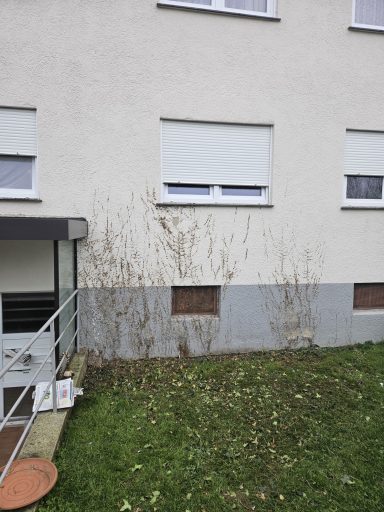 Objekt Nr.22 Nachher - Oberndorf