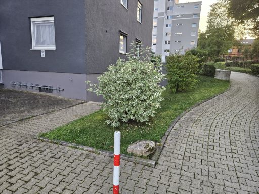 Objekt Nr.6 - VS-Schwenningen Ein Weg mit Rasen und zwei kleinen Büschen neben einem grauen Gebäude.